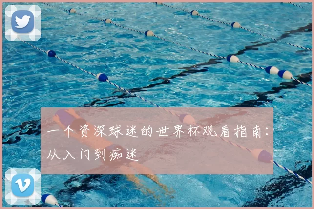 一个资深球迷的世界杯观看指南:从入门到痴迷