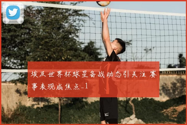 埃及世界杯球星备战动态引关注 赛事表现成焦点_1
