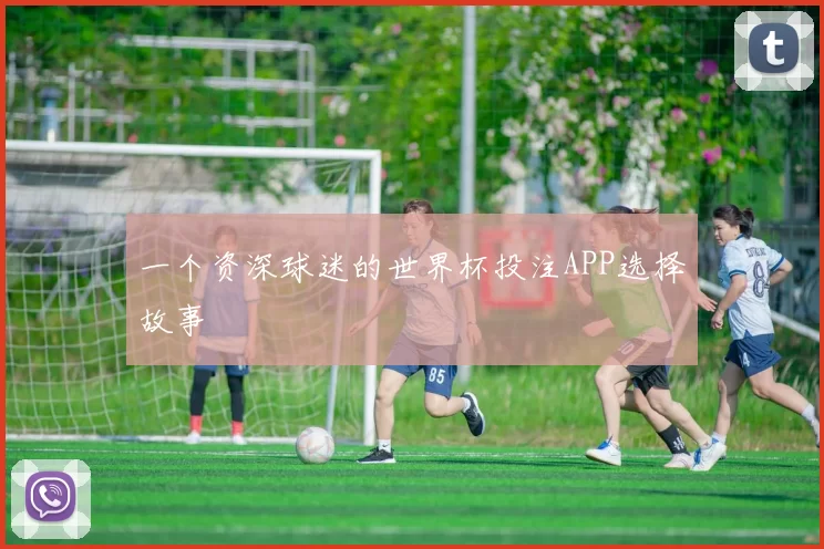 一个资深球迷的世界杯投注APP选择故事