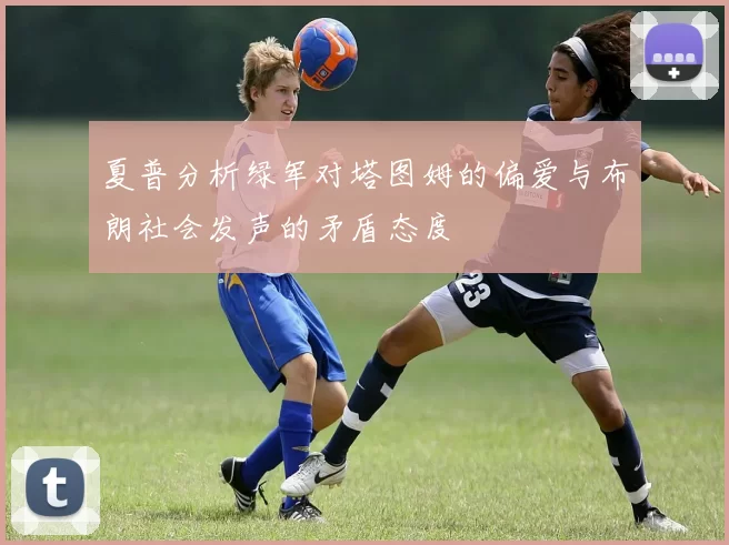 夏普分析绿军对塔图姆的偏爱与布朗社会发声的矛盾态度