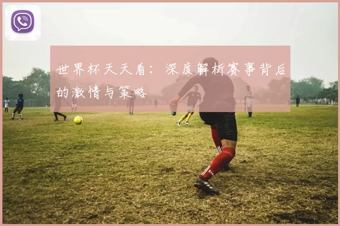 世界杯天天看:深度解析赛事背后的激情与策略