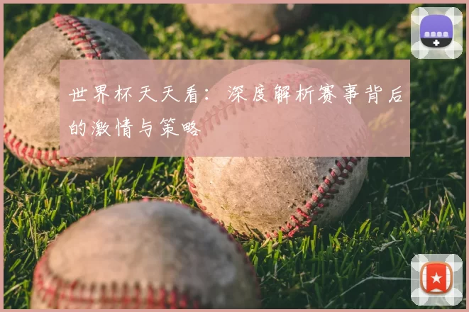 世界杯天天看:深度解析赛事背后的激情与策略