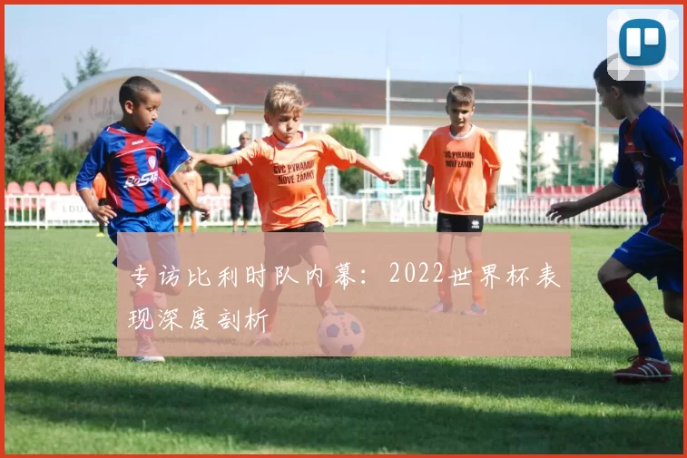 专访比利时队内幕:2022世界杯表现深度剖析