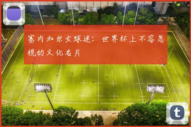 塞内加尔女球迷:世界杯上不容忽视的文化名片